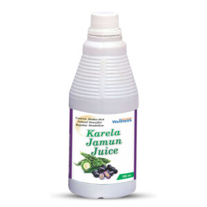 Karela & Jamun Ras
